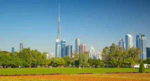 Dubai Real Estate Trends