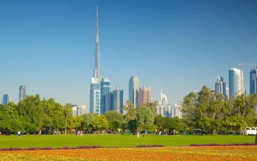 Dubai Real Estate Trends