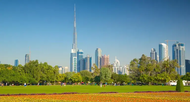 Dubai Real Estate Trends