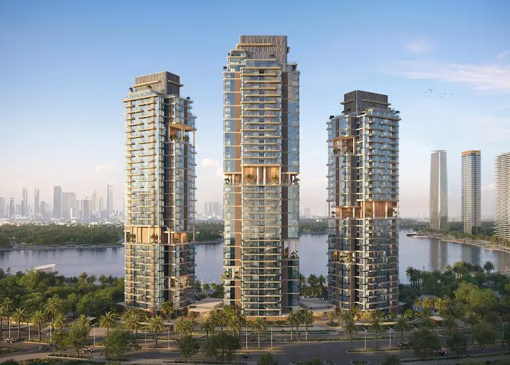 the-edit-by-d3-gal-1