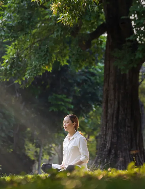 Wellness Gardens